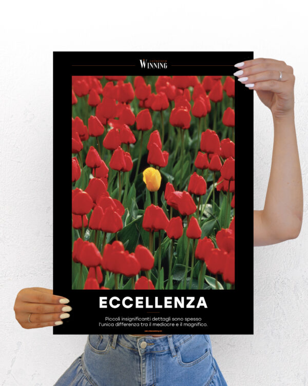 Eccellenza